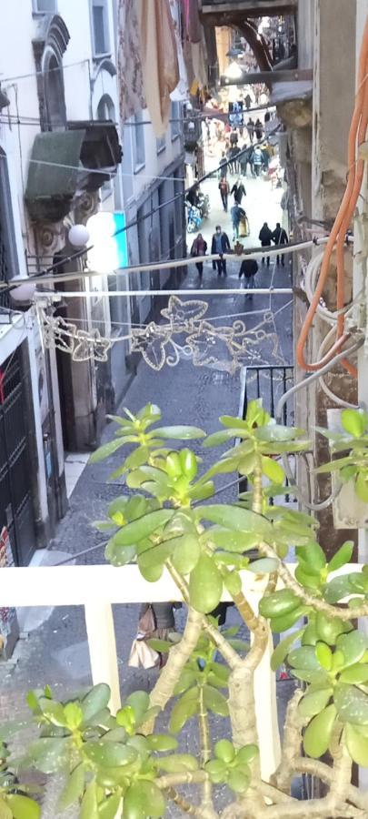 דירות Casa San Biagio 1964 Spaccanapoli מראה חיצוני תמונה